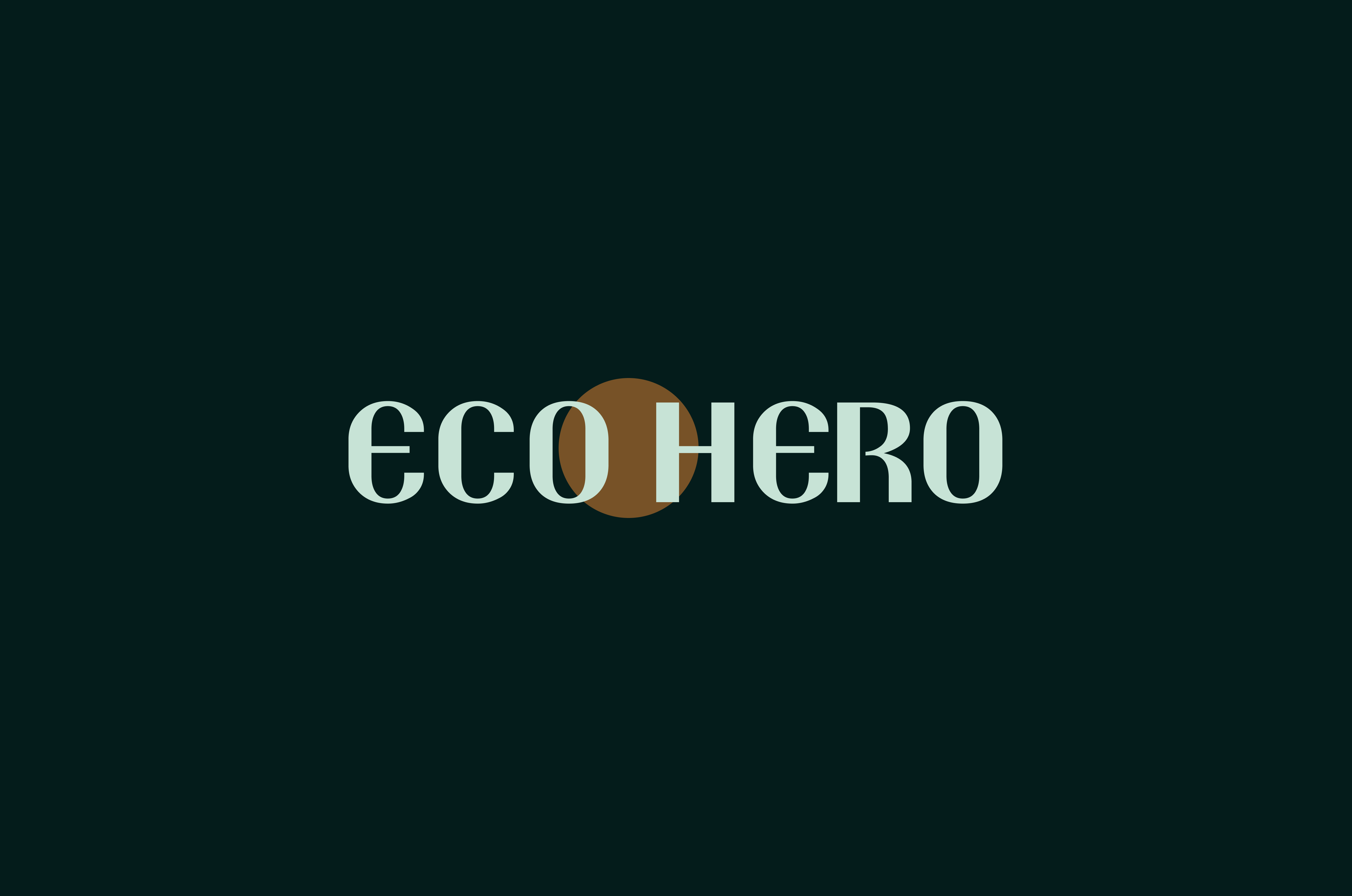 Eco Hero case study cover